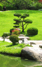 Illustration Shiatsu Reims : jardin japonais